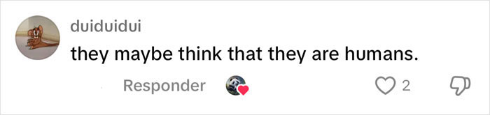 Comment saying "they maybe think that they are humans" with a heart icon. Comment saying "they maybe think that they are humans" with a heart icon.