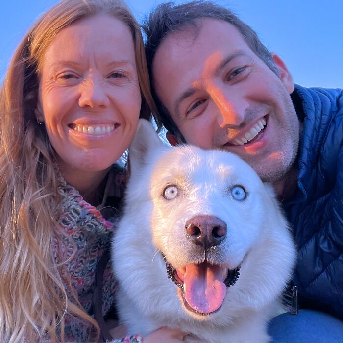 Overcoming Disability: This Dog’s Prancing Walk Steals Hearts On The Internet Overcoming Disability: This Dog’s Prancing Walk Steals Hearts On The Internet