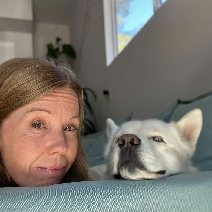 Overcoming Disability: This Dog’s Prancing Walk Steals Hearts On The Internet Overcoming Disability: This Dog’s Prancing Walk Steals Hearts On The Internet