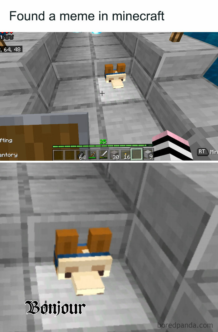 49 Minecraft Memes: The Ultimate Collection For Hardcore Fans | Bored Panda