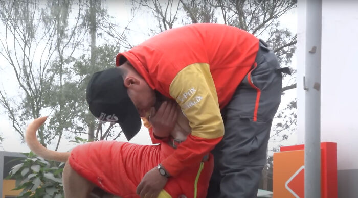 Stray Dog Becomes Employed At A Gas Station After Chasing Off Robbers Stray Dog Becomes Employed At A Gas Station After Chasing Off Robbers