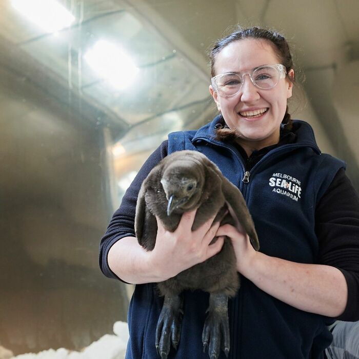 Meet 9-Month-Old Pesto, Who’s The Besto, Weighing In At A Whopping 22 Kg Meet 9-Month-Old Pesto, Who’s The Besto, Weighing In At A Whopping 22 Kg