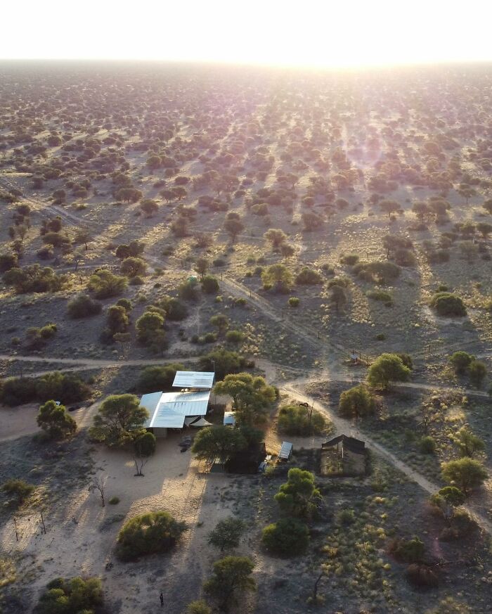 A Beautiful Friendship Between This Caregiver And Lioness That Started 13 Years Ago A Beautiful Friendship Between This Caregiver And Lioness That Started 13 Years Ago