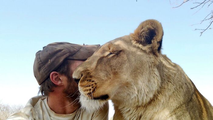 A Beautiful Friendship Between This Caregiver And Lioness That Started 13 Years Ago A Beautiful Friendship Between This Caregiver And Lioness That Started 13 Years Ago
