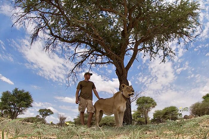 A Beautiful Friendship Between This Caregiver And Lioness That Started 13 Years Ago A Beautiful Friendship Between This Caregiver And Lioness That Started 13 Years Ago