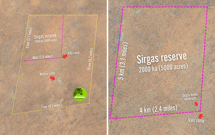 A Beautiful Friendship Between This Caregiver And Lioness That Started 13 Years Ago A Beautiful Friendship Between This Caregiver And Lioness That Started 13 Years Ago