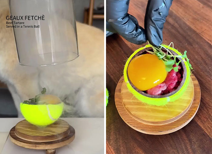 Owner Treats Her Dog To A 9-Course Meal At 'Eleven Madison Bark' For His 11th Birthday Owner Treats Her Dog To A 9-Course Meal At 'Eleven Madison Bark' For His 11th Birthday