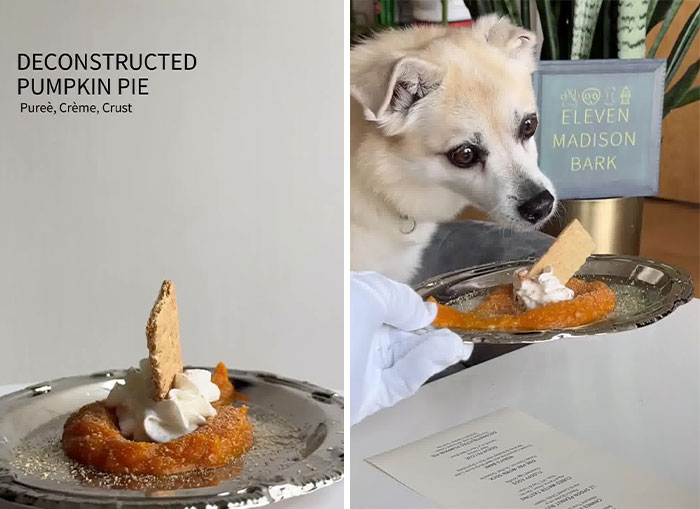Owner Treats Her Dog To A 9-Course Meal At 'Eleven Madison Bark' For His 11th Birthday Owner Treats Her Dog To A 9-Course Meal At 'Eleven Madison Bark' For His 11th Birthday