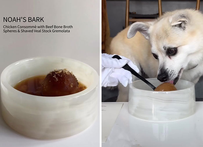 Owner Treats Her Dog To A 9-Course Meal At 'Eleven Madison Bark' For His 11th Birthday Owner Treats Her Dog To A 9-Course Meal At 'Eleven Madison Bark' For His 11th Birthday