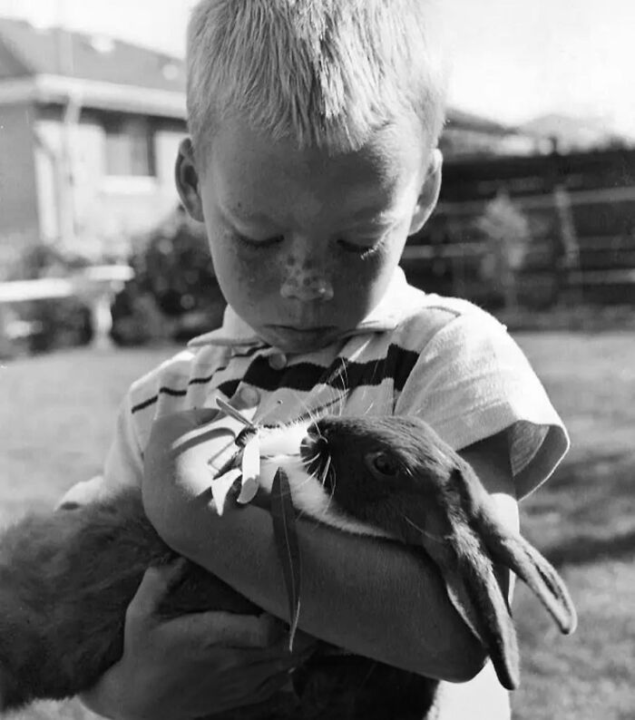 This Wildlife Control Company Earns Praise For Their Humane Solutions This Wildlife Control Company Earns Praise For Their Humane Solutions