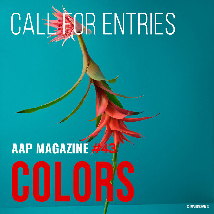 Launch Colors Photo Contest Launch Colors Photo Contest