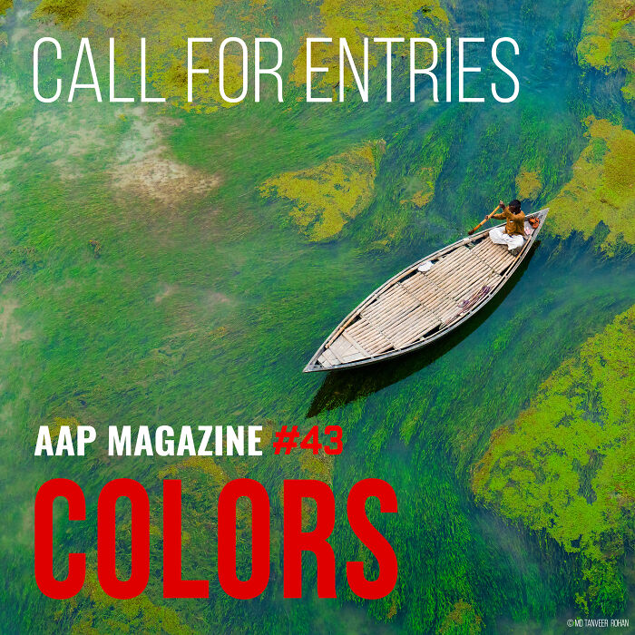 Launch Colors Photo Contest Launch Colors Photo Contest