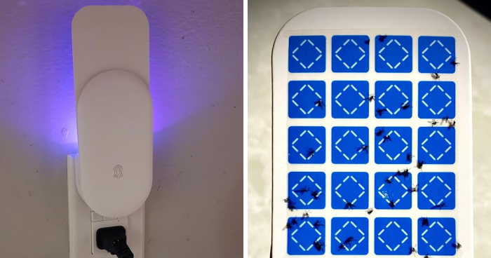 Amazon Just Dropped These 20 New Products, And We’re Obsessed