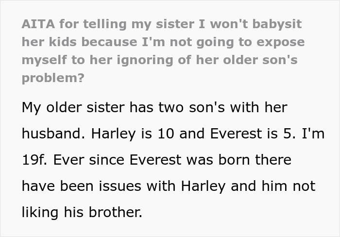 Woman Refuses To Babysit Nephews Until Their Mom Addresses The Serious Problem They Have Woman Refuses To Babysit Nephews Until Their Mom Addresses The Serious Problem They Have