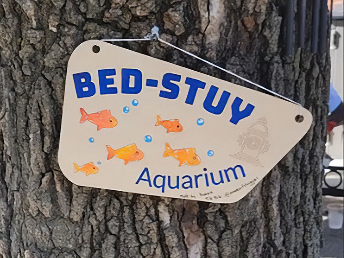 Aquarium With Real Fish Created Around Fire Hydrant "Puddle" Draws Criticism For Its Cruelty Aquarium With Real Fish Created Around Fire Hydrant "Puddle" Draws Criticism For Its Cruelty