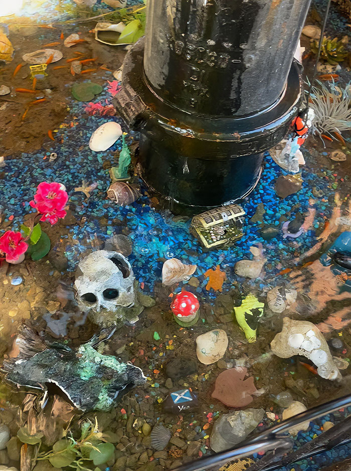 Aquarium With Real Fish Created Around Fire Hydrant "Puddle" Draws Criticism For Its Cruelty Aquarium With Real Fish Created Around Fire Hydrant "Puddle" Draws Criticism For Its Cruelty