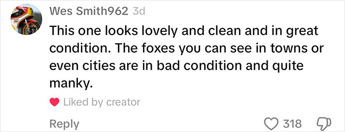 Fox Frequently Sneaks Into Woman’s Home And Sleeps In Her Bed: “It Fills My Heart With Joy” Fox Frequently Sneaks Into Woman’s Home And Sleeps In Her Bed: “It Fills My Heart With Joy”