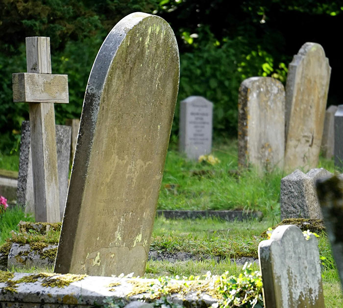 “It’s A Public Service Announcement”: Daughter’s Unforgiving Obituary For Mom Goes Viral “It’s A Public Service Announcement”: Daughter’s Unforgiving Obituary For Mom Goes Viral