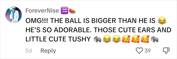 People Online Are Overtaken By The Cuteness Of These 2 Newborn Elephants At Fresno Zoo People Online Are Overtaken By The Cuteness Of These 2 Newborn Elephants At Fresno Zoo