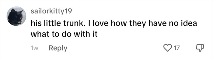 People Online Are Overtaken By The Cuteness Of These 2 Newborn Elephants At Fresno Zoo People Online Are Overtaken By The Cuteness Of These 2 Newborn Elephants At Fresno Zoo