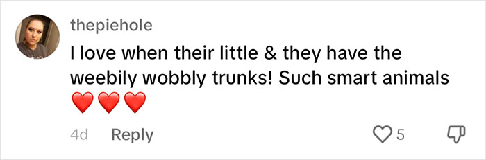 People Online Are Overtaken By The Cuteness Of These 2 Newborn Elephants At Fresno Zoo People Online Are Overtaken By The Cuteness Of These 2 Newborn Elephants At Fresno Zoo