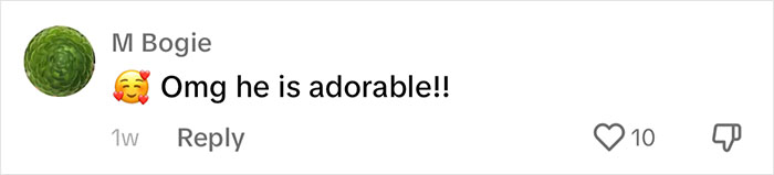 People Online Are Overtaken By The Cuteness Of These 2 Newborn Elephants At Fresno Zoo People Online Are Overtaken By The Cuteness Of These 2 Newborn Elephants At Fresno Zoo