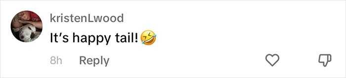 People Online Are Overtaken By The Cuteness Of These 2 Newborn Elephants At Fresno Zoo People Online Are Overtaken By The Cuteness Of These 2 Newborn Elephants At Fresno Zoo