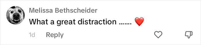 People Online Are Overtaken By The Cuteness Of These 2 Newborn Elephants At Fresno Zoo People Online Are Overtaken By The Cuteness Of These 2 Newborn Elephants At Fresno Zoo