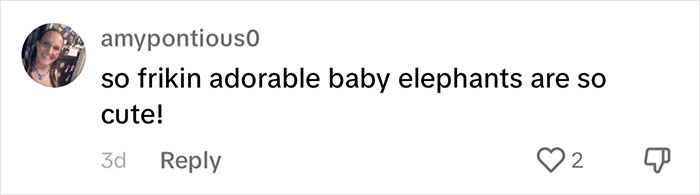 People Online Are Overtaken By The Cuteness Of These 2 Newborn Elephants At Fresno Zoo People Online Are Overtaken By The Cuteness Of These 2 Newborn Elephants At Fresno Zoo