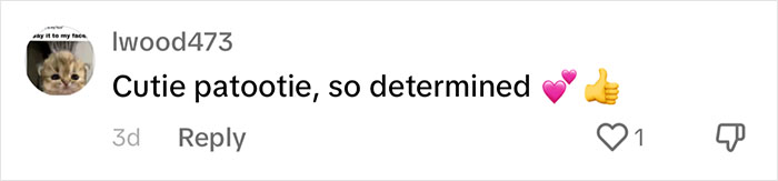 People Online Are Overtaken By The Cuteness Of These 2 Newborn Elephants At Fresno Zoo People Online Are Overtaken By The Cuteness Of These 2 Newborn Elephants At Fresno Zoo