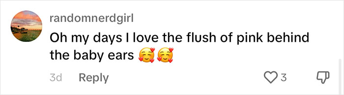 People Online Are Overtaken By The Cuteness Of These 2 Newborn Elephants At Fresno Zoo People Online Are Overtaken By The Cuteness Of These 2 Newborn Elephants At Fresno Zoo