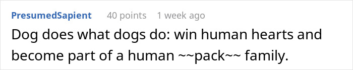 Stray Dog Becomes Employed At A Gas Station After Chasing Off Robbers Stray Dog Becomes Employed At A Gas Station After Chasing Off Robbers