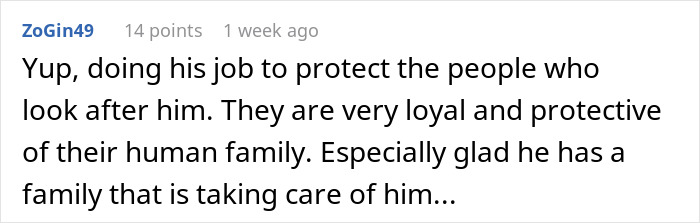Stray Dog Becomes Employed At A Gas Station After Chasing Off Robbers Stray Dog Becomes Employed At A Gas Station After Chasing Off Robbers