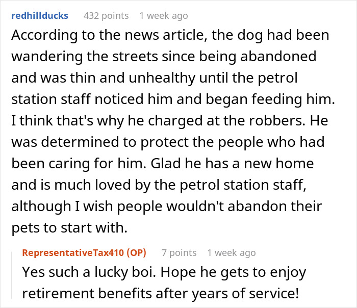 Stray Dog Becomes Employed At A Gas Station After Chasing Off Robbers Stray Dog Becomes Employed At A Gas Station After Chasing Off Robbers