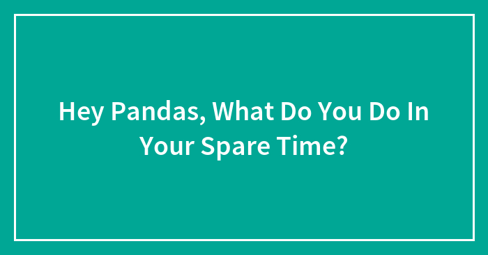 Hey Pandas, What Do You Do In Your Spare Time? (Closed)