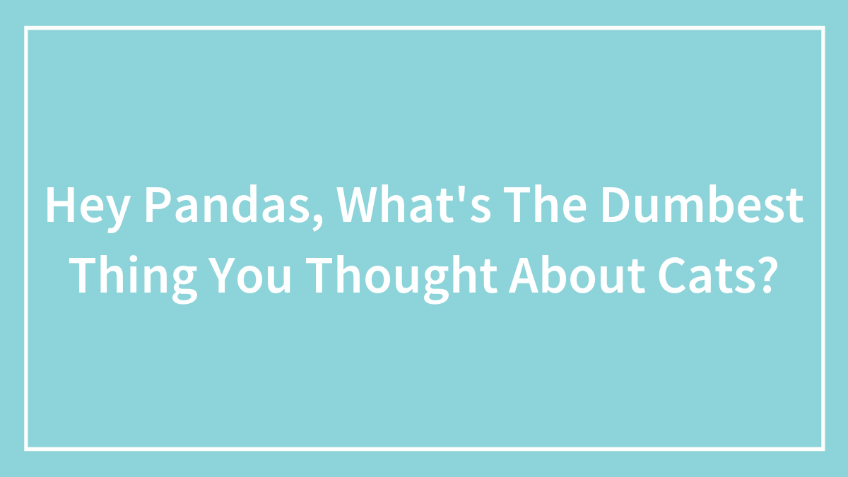 Hey Pandas, What’s The Dumbest Thing You Thought About Cats? (Closed)