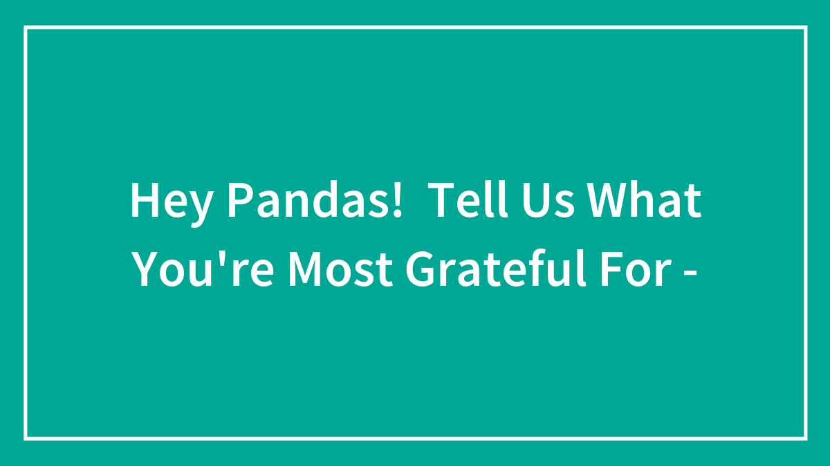 Hey Pandas, Tell Us What You’re Most Grateful For