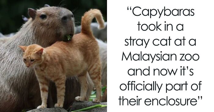 ‘All That’s Interesting’: 45 Cool Facts To Spark Your Curiosity