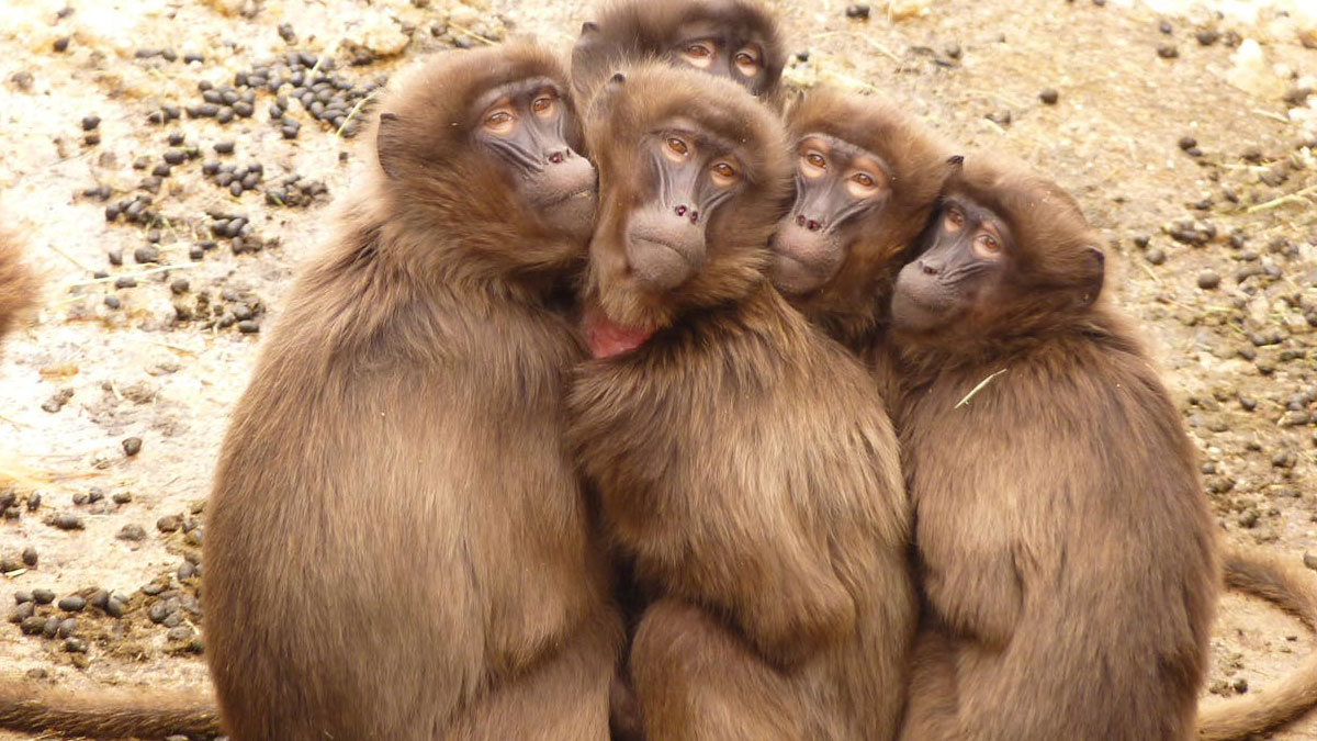 47 People Reveal The Darkest Rabbit Holes They’ve Fallen Into