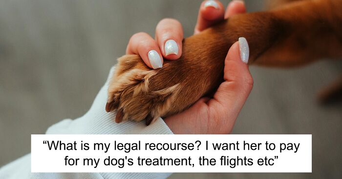 Dog Sitter’s Relaxed Attitude Leads To Pup Losing Eye And Leg, Owner Wants To Take Her To Court