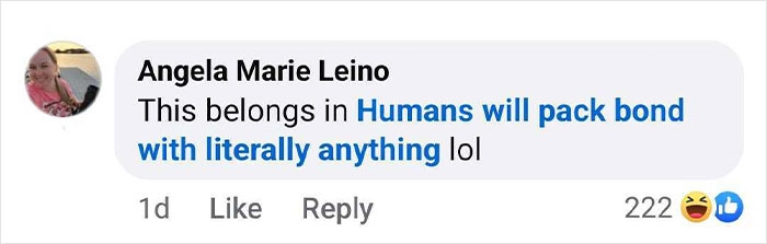 Man Loses AirTag In A Portable Toilet, Shares He Has Been Following Its Adventure Man Loses AirTag In A Portable Toilet, Shares He Has Been Following Its Adventure