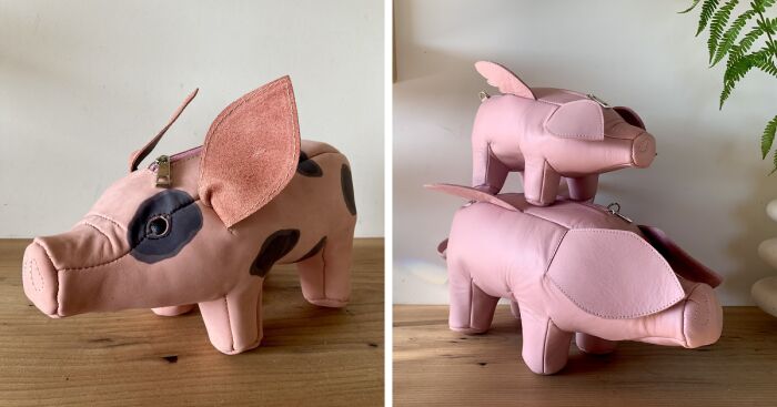 Pigs And Bags (11 Pics)