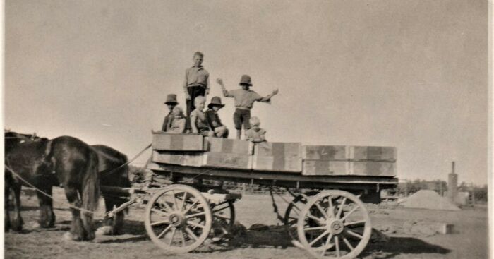 Here’s My Photo Collection Of A Town Called Merbein (13 Pics)