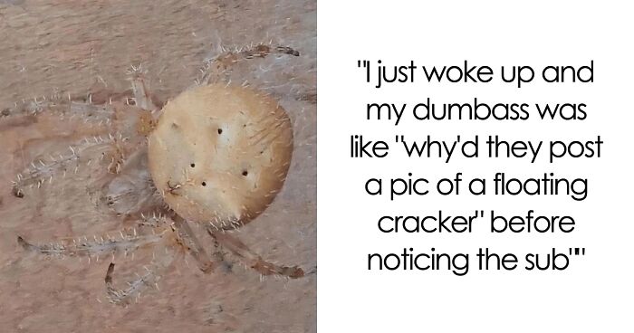 19 Forbidden Snacks That Make Your Eyes Say Yes, But The Stomach Says No
