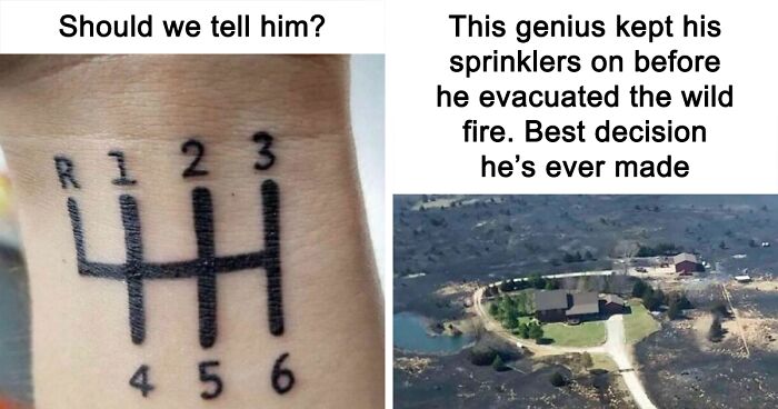 50 Random Memes To Share With A Random Person At The Bus Stop