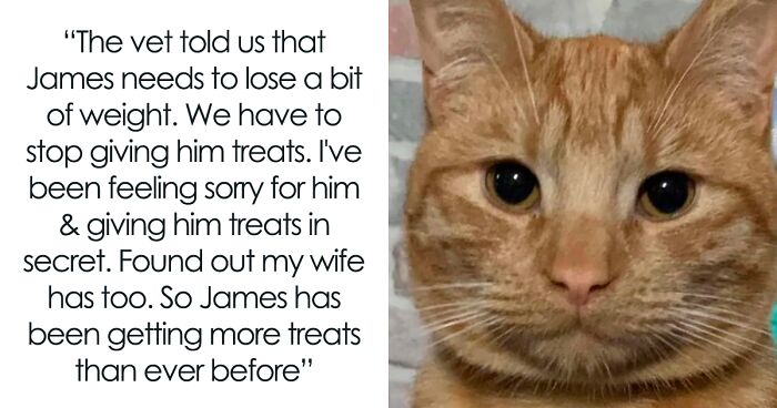 50 Wholesome Memes To Remind You That The World Isn’t All Bad (New Pics)