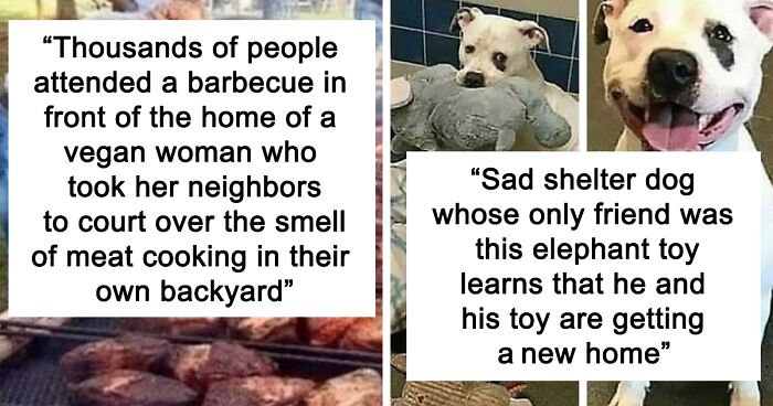50 Heartwarming Stories To Restore Your Faith In Humanity