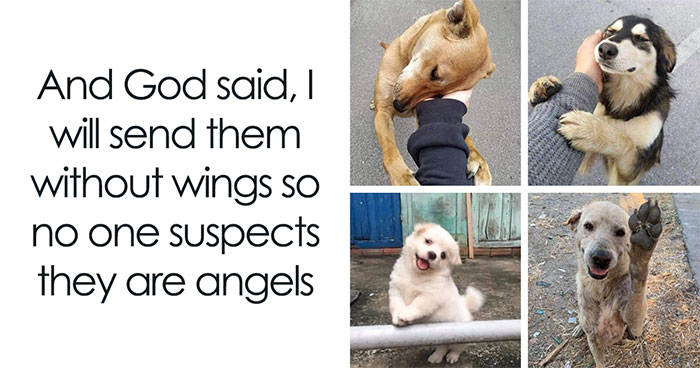 50 Hilarious Random Memes To Brighten Up Your Day (New Pics)