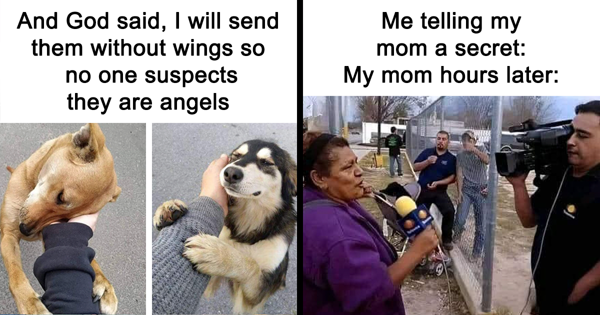 50 Hilarious Random Memes To Brighten Up Your Day New Pics Bored Panda