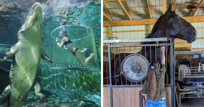 50 Animals So Giant It’s Hard To Believe They’re Real (New Pics)